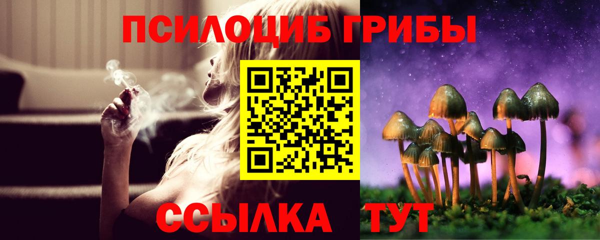 купить наркотик  Вход с VPN  Псилоцибиновые грибы Magic Shrooms  Дальнегорск  Галлюциногенные грибы Magic Shrooms 