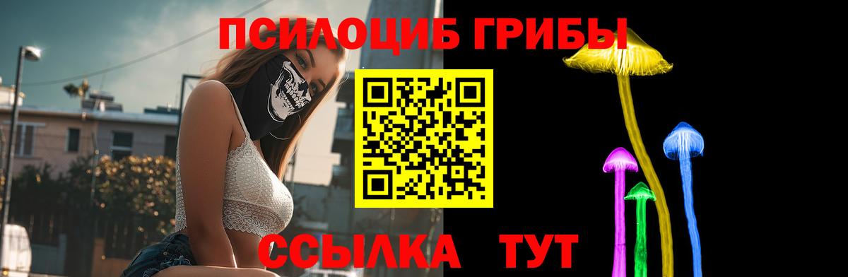 Псилоцибиновые грибы мицелий Дальнегорск